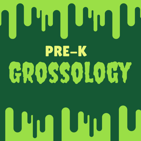 Pre-K Grossology with slime dripping down