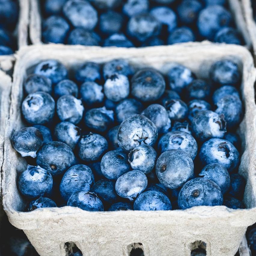 blueberries in a carton