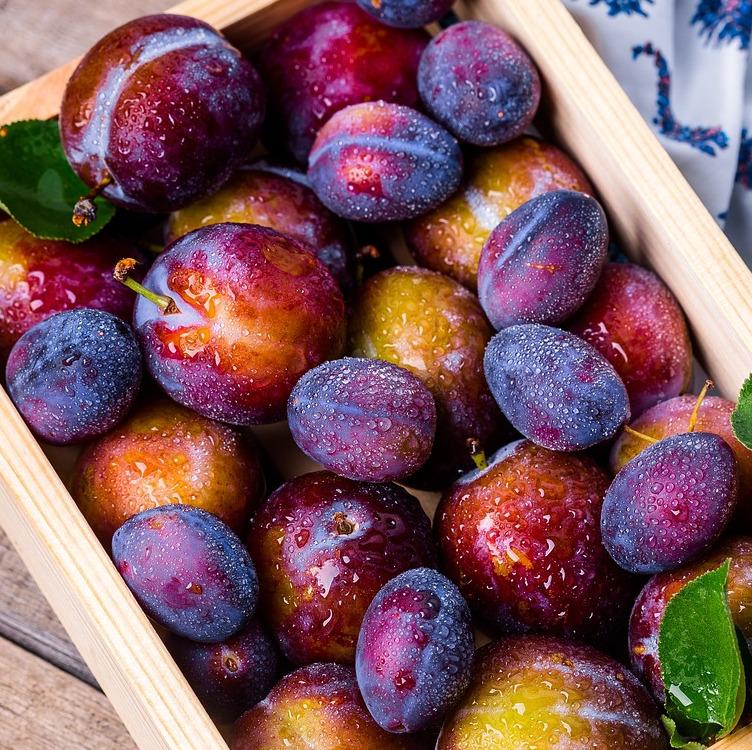 a box of peaches, plums, and nectarines